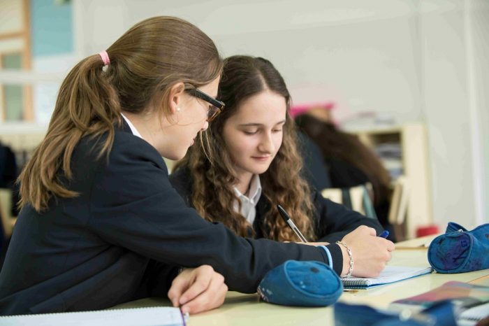 Cambridge's success in Romania: 25th school adopts Cambridge Pathway programme