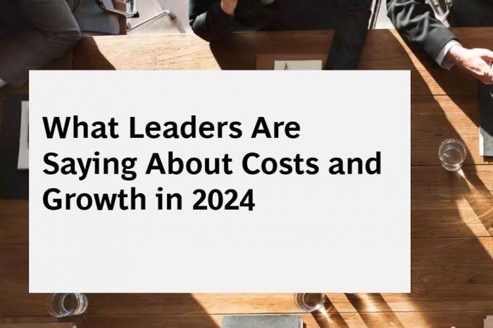 BCG Study: What Leaders Are Saying About Costs and Growth in 2024